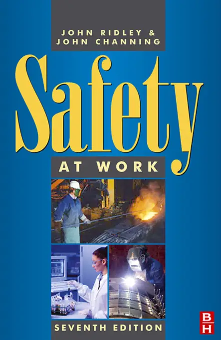 Safety at Work by John Ridley and John Channing